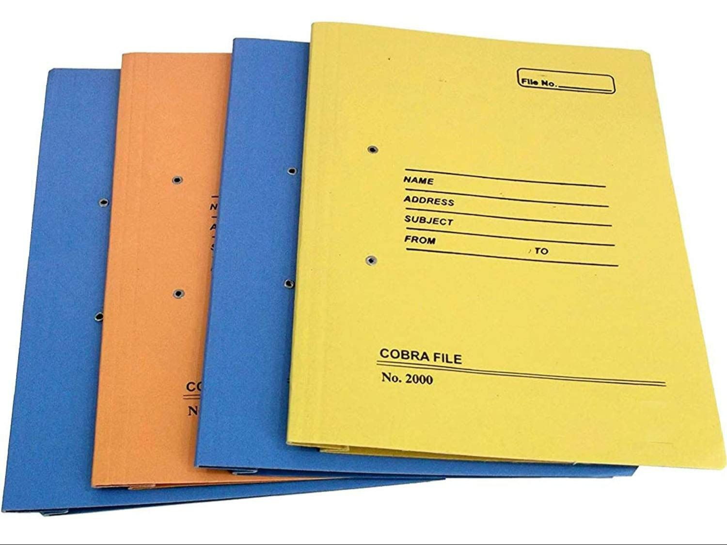 Document File Folder